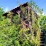 펜션 Aldeia Da Graca Casas Com Piscina Em *