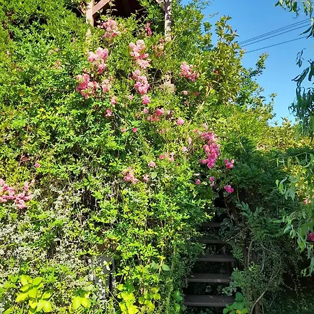 Apartment Aldeia Da Graca *