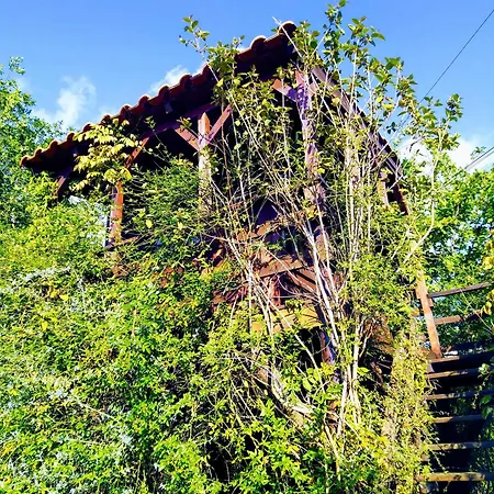 Casa de Férias Aldeia Da Graca Casas Com Piscina Em *