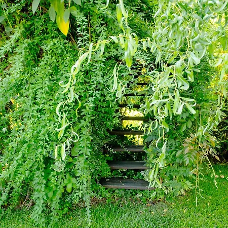 Aldeia Da Graca * Guimarães