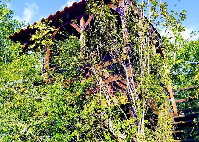 Apartamento Aldeia Da Graca *