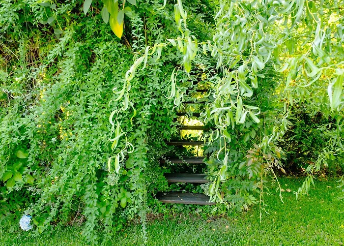 Aldeia Da Graca * ギマランイス